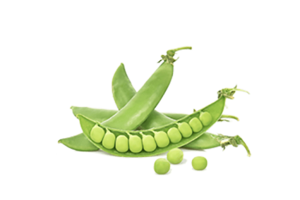 h3-product7 h3-product7